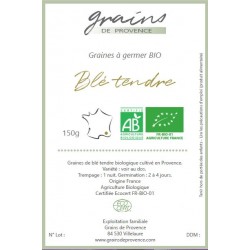 Blé tendre biologique de Provence - direct producteur